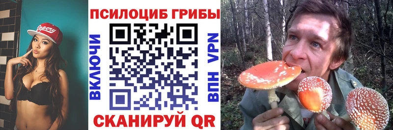 дарнет шоп  Болхов  Галлюциногенные грибы прущие грибы 