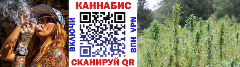 Бошки Шишки ГИДРОПОН Болхов